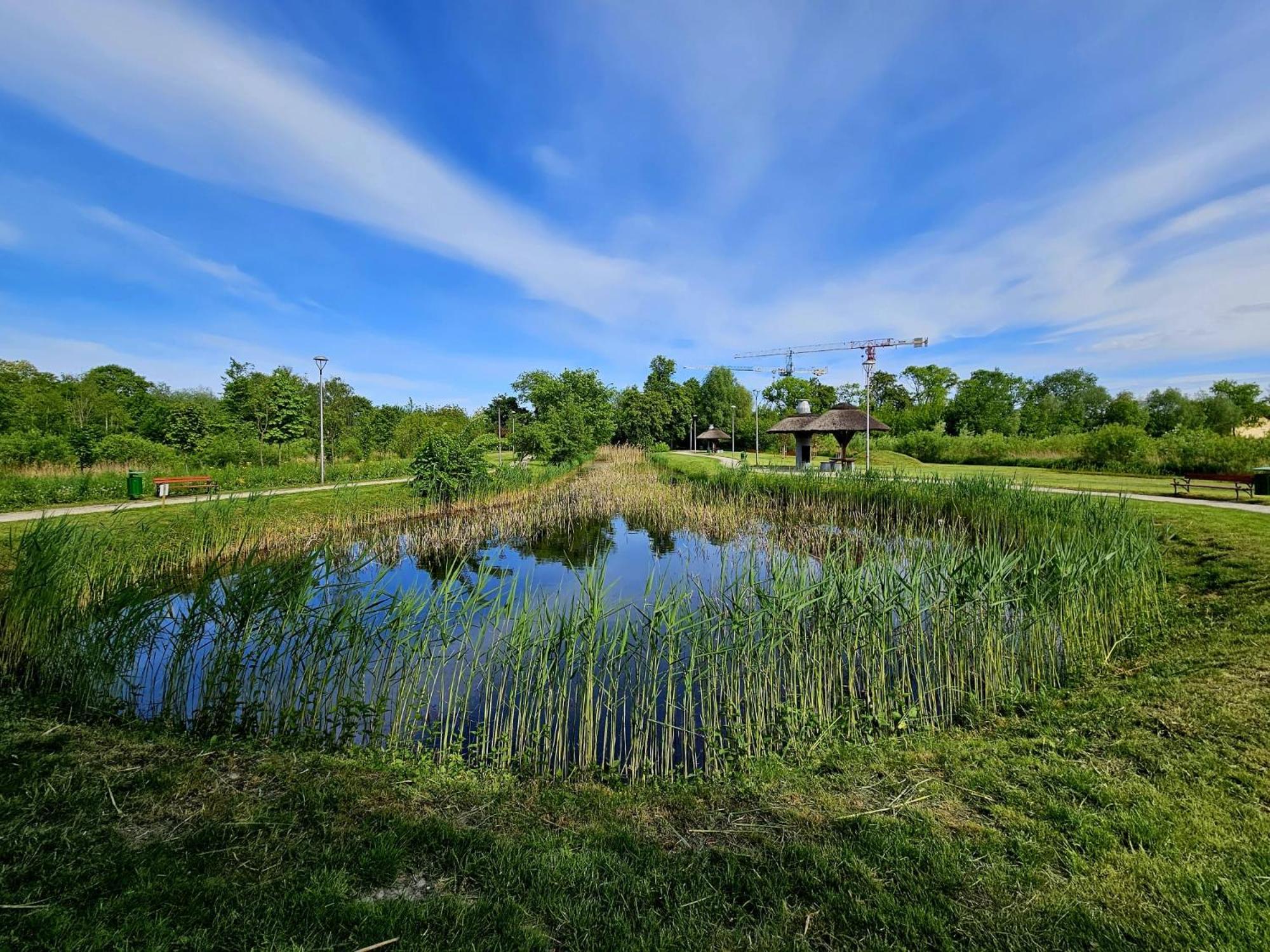 Countryside Studio Borzecin Duzy エクステリア 写真
